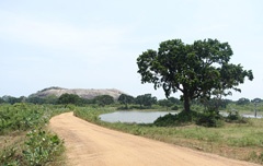 DSC00998a